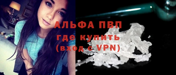 сатива Магадан