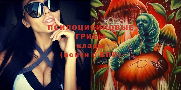 дурь Лихославль