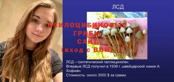 мет Магас