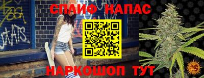 индика Кулебаки