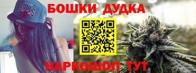 индика Кулебаки
