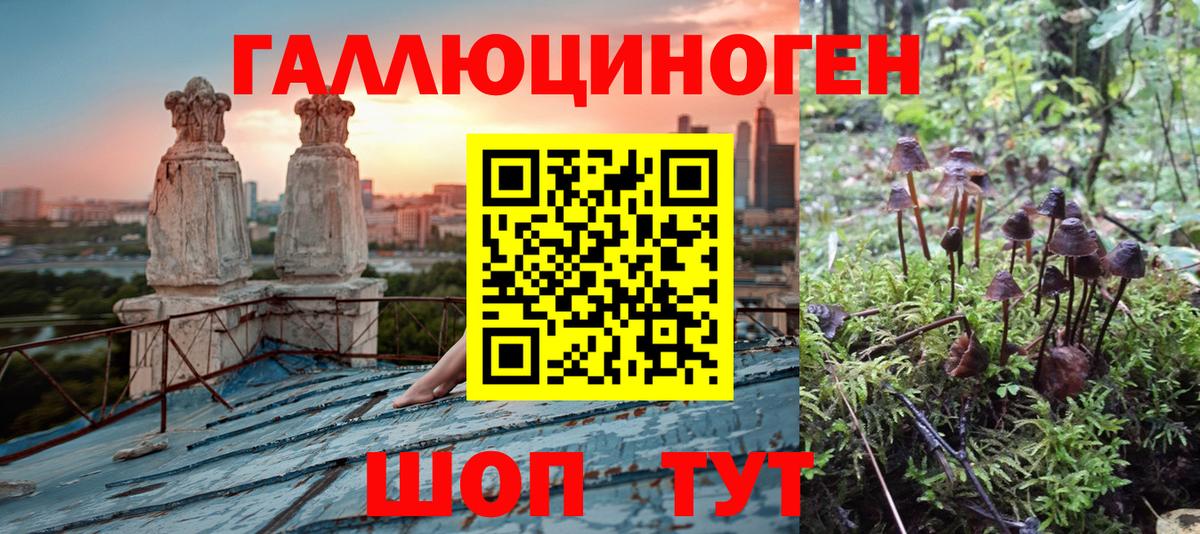 Урай  Псилоцибиновые грибы мухоморы  Вход с VPN 