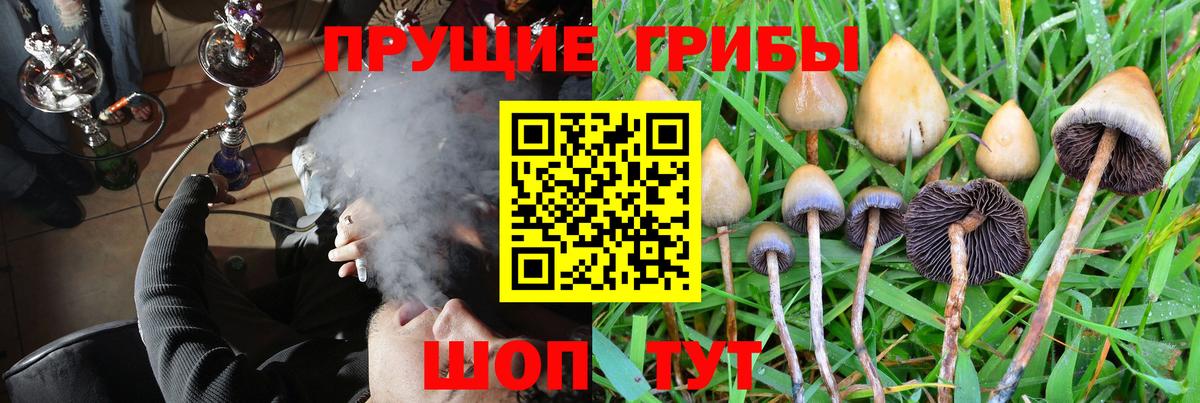 Псилоцибиновые грибы MAGIC MUSHROOMS Урай